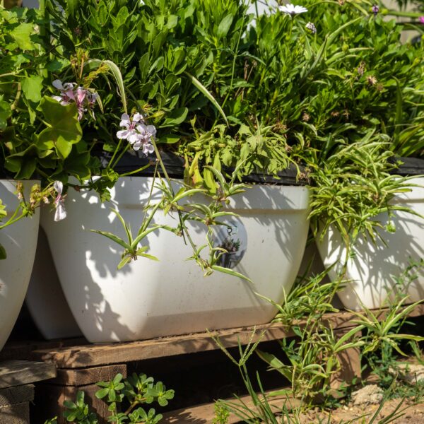 Pot « Rubi Plast » 25 cm x 25 cm x 50 cm – Image 8