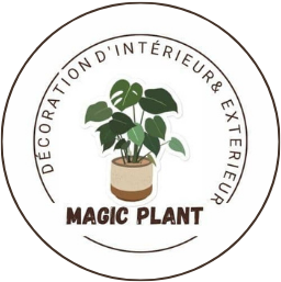 Magic Plant