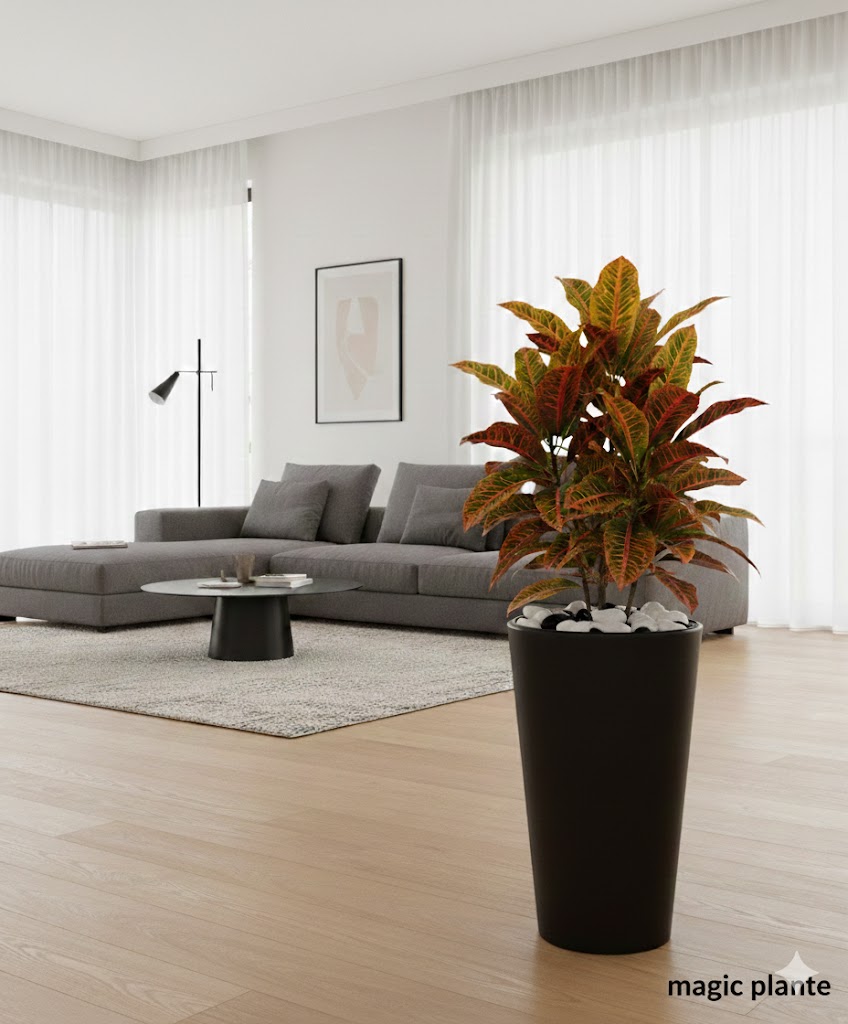 Pots Cornet – Image 6