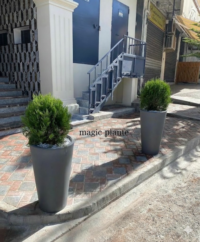 Pots Cornet – Image 3