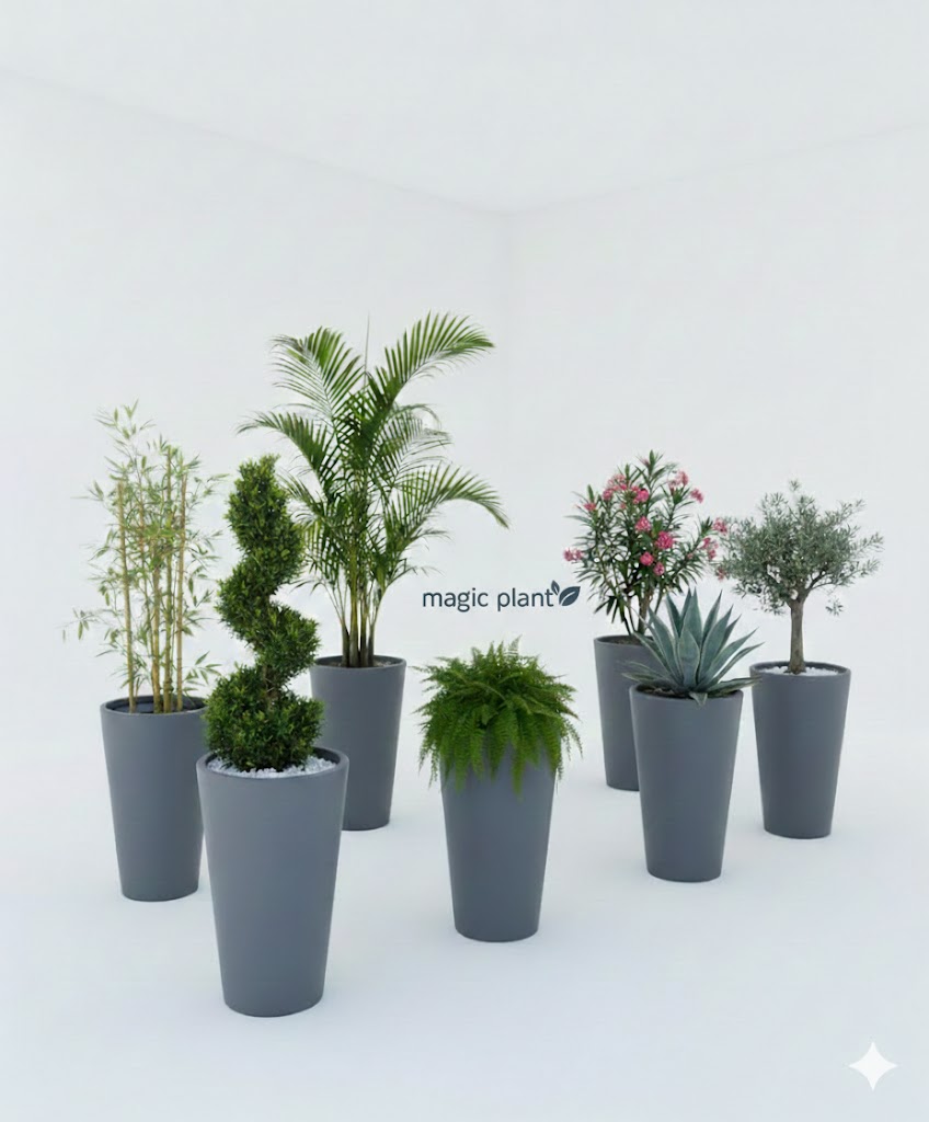 Pots Cornet – Image 4