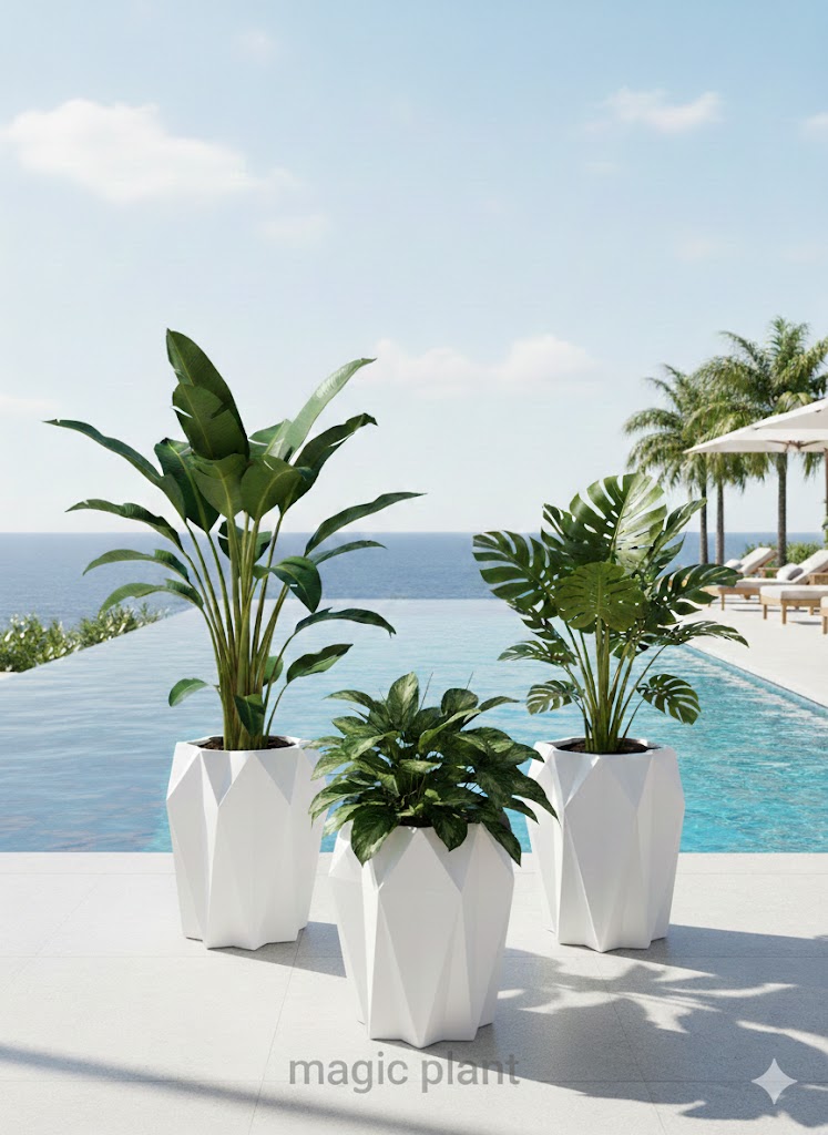 Pots etoilé – Image 4