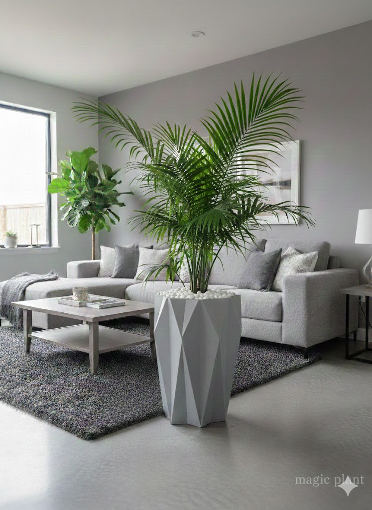 Pots etoilé – Image 2