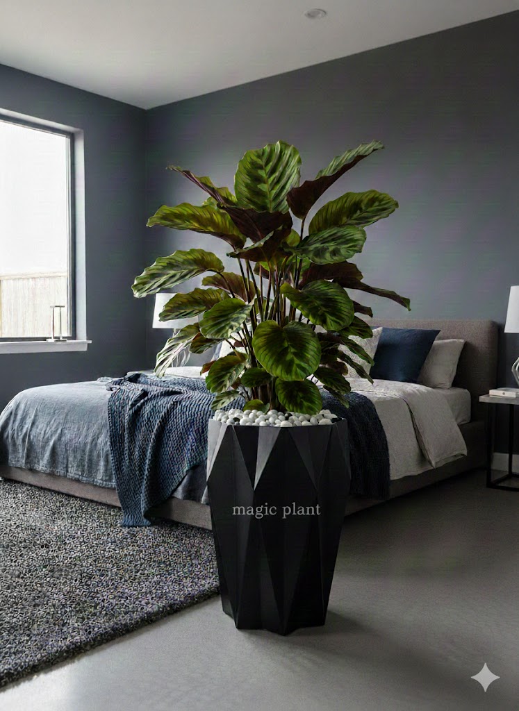 Pots etoilé – Image 3