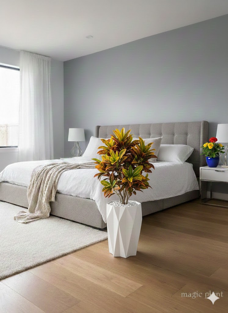 Pots etoilé – Image 5