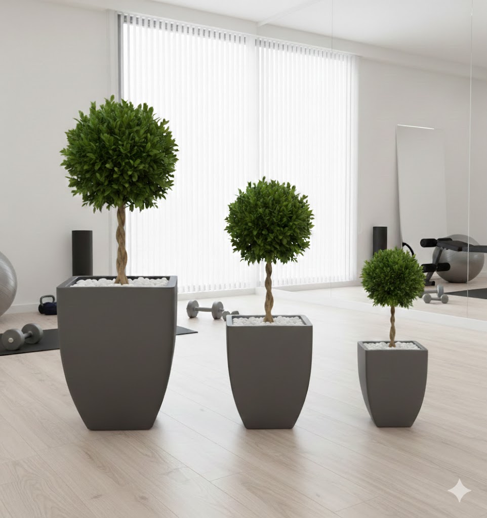 Bac carré – Image 3