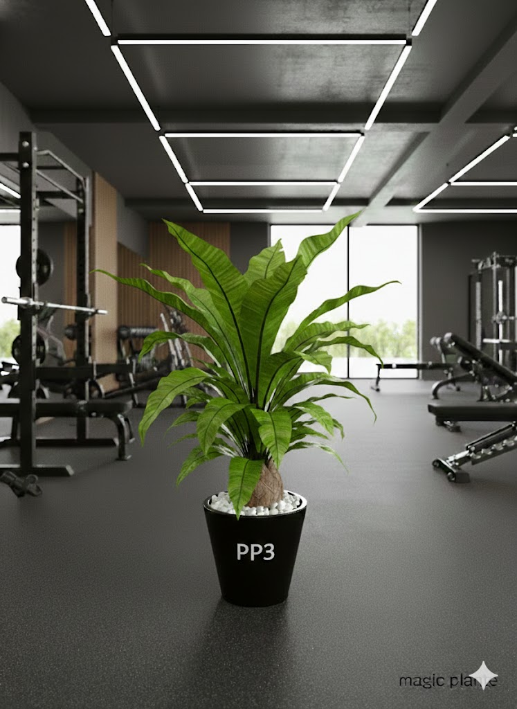 Pots Collection PP – Image 2