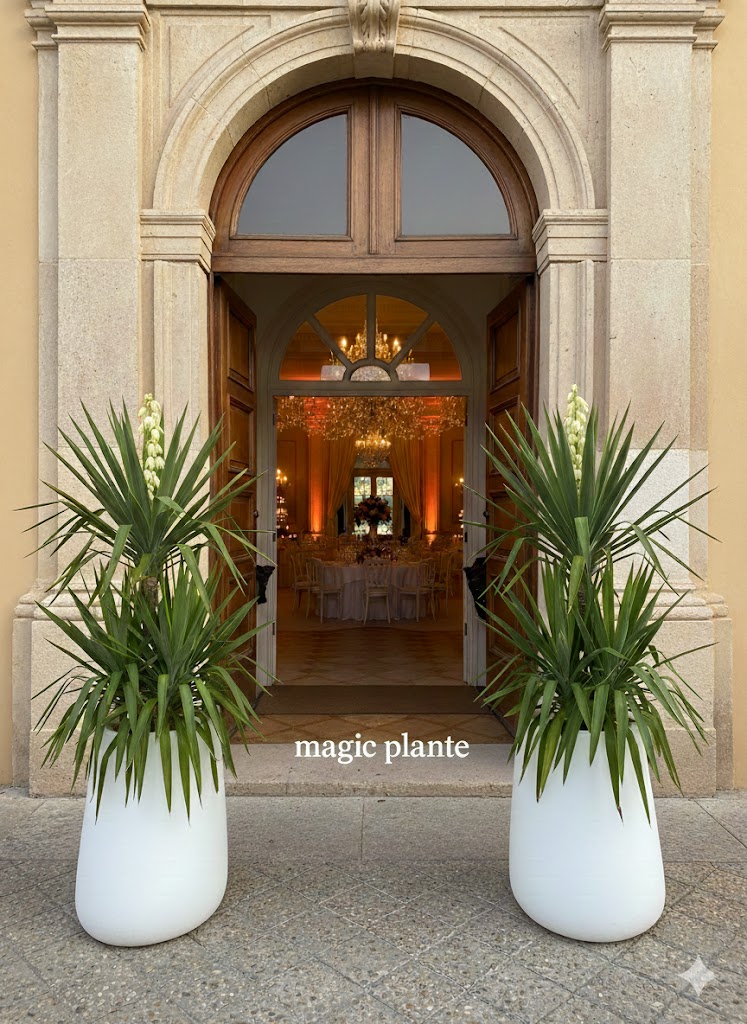 Pots Pétra – Image 2