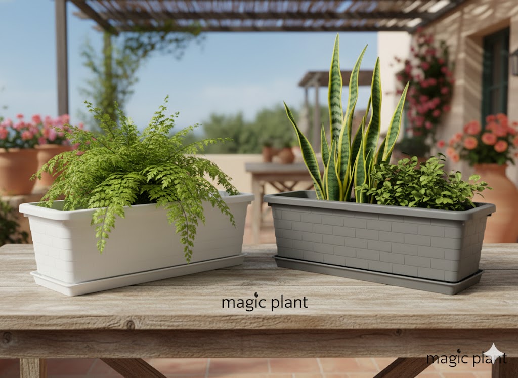 Bac Chréa – Image 4