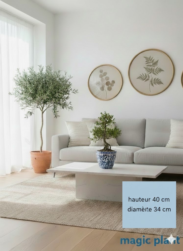 pots tunisiens – Image 2