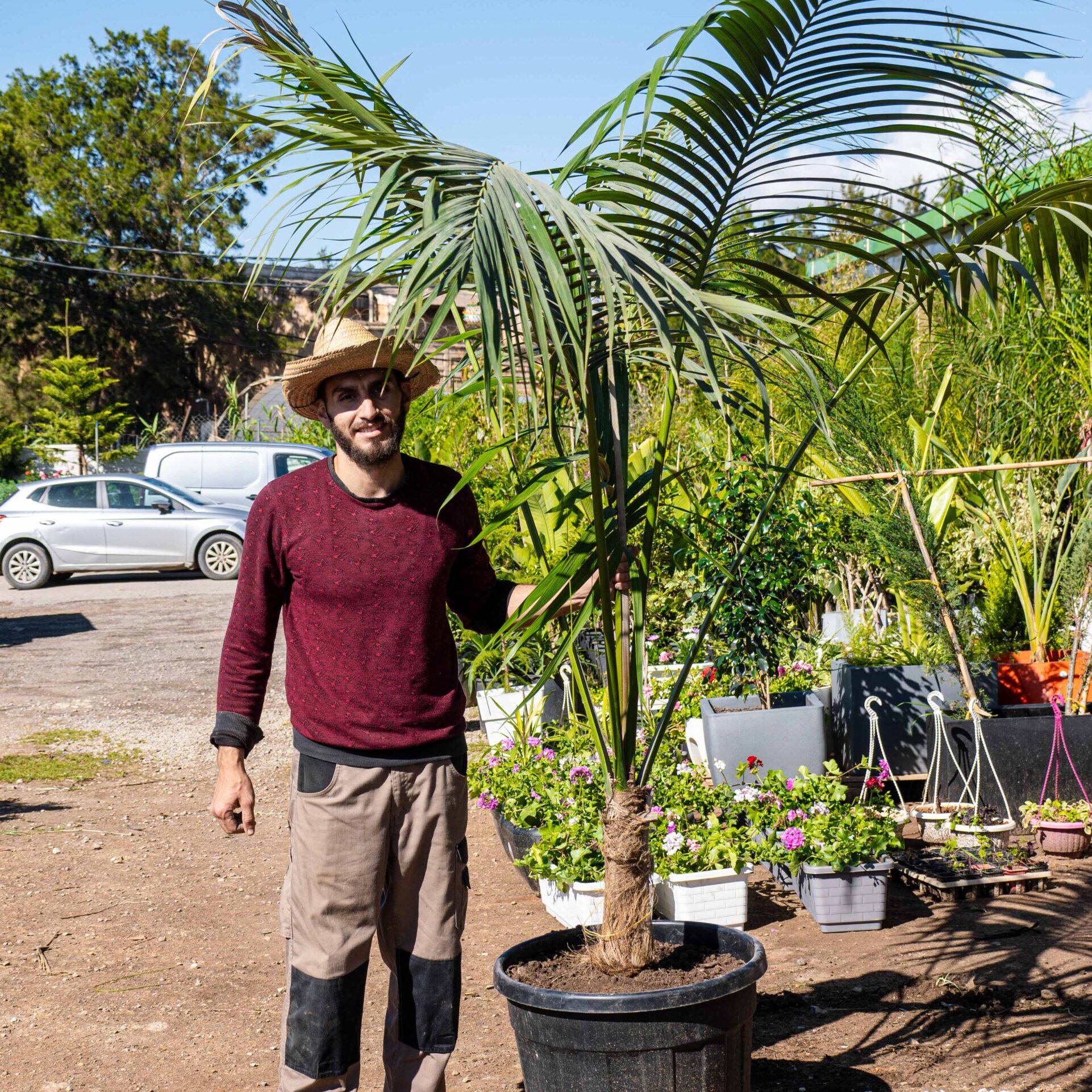 Magic Plant For Website (104 of 156)