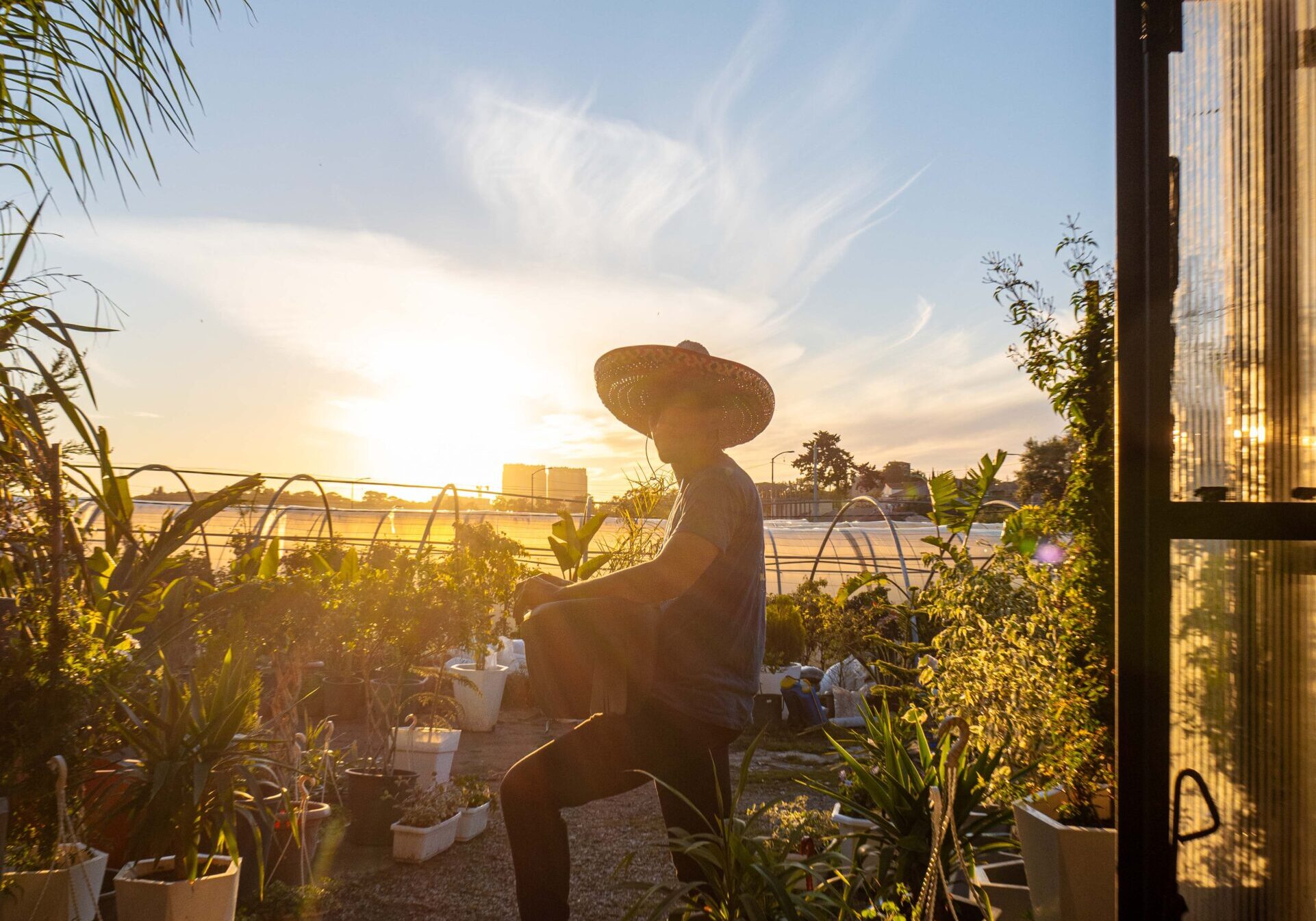 Magic Plant For Website (145 of 156)